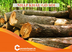 Thủ Tục Nhập Khẩu Gỗ Sồi